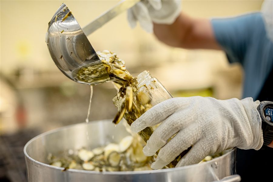 Ladling pickles and brine into a glass jar
