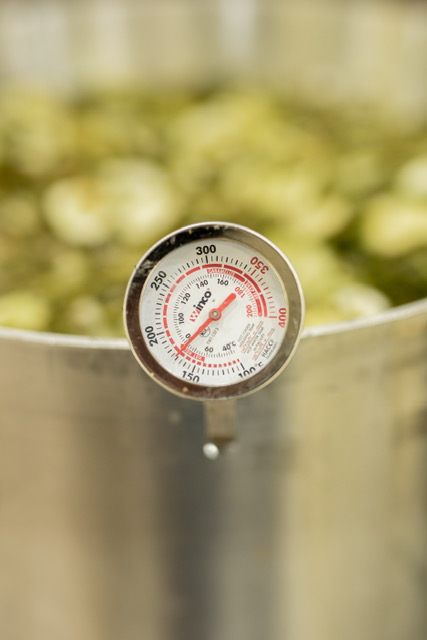 Checking the temperature of a pickle batch for shelf-stability